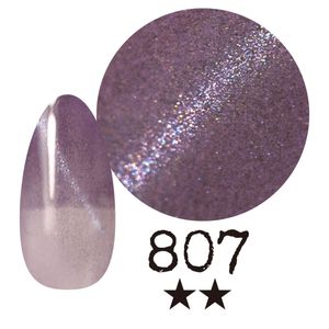 ߡ ޥͥåȡ807 񻺥顼