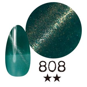 ߡ ޥͥåȡ808 񻺥顼