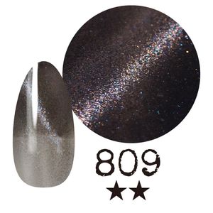 ߡ ޥͥåȡ809 񻺥顼