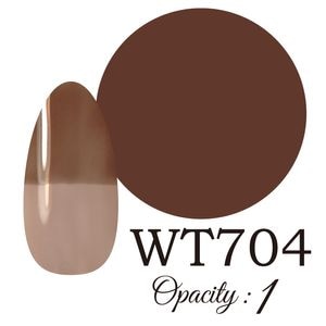 ��������LUCIA ��WT704�� ����������� �񻺥��顼������