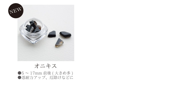 �ڥ�˥塼����ۥѥ���ȡ��󤵤����� ŷ���� 17����