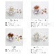 �ڥ�˥塼����ۥѥ���ȡ��󤵤����� ŷ���� 17����