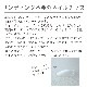 ����ǥ��󥰥��å� ���硼�ȥ����Х롡���ꥢ��1���åȡ�10������ ���504������