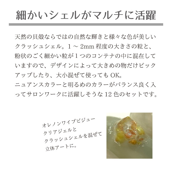 �˥奢�󥹥���å��奷���� 12�����å� �˥奢�󥹥��顼 ����å��奿����