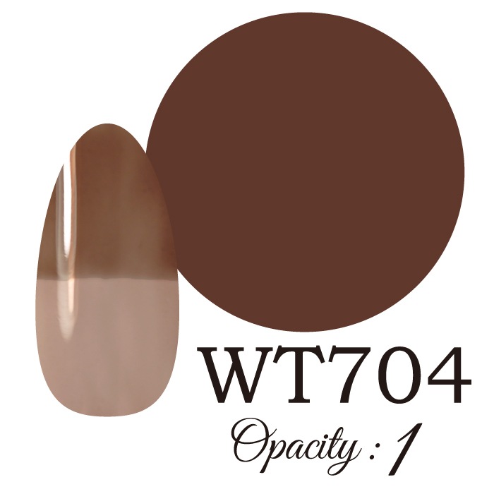 ��������LUCIA ��WT704�� ����������� �񻺥��顼������