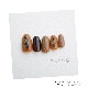�磻�䡼��0.2mm��10m��������ɡ�����С�
