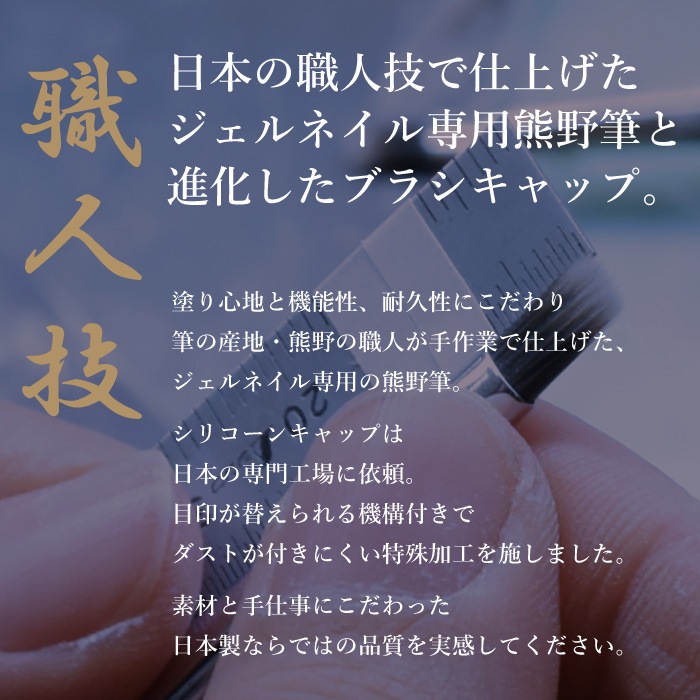 ڥ˥塼۷ɮ֥饷եå//饤ʡꥳ֥饷å