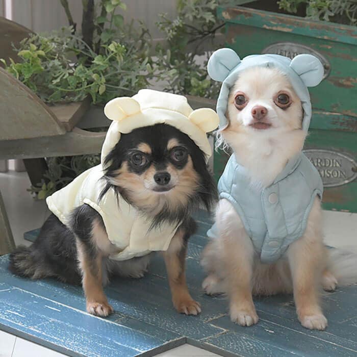 ドッグウェア,アウター | NONKOROオンラインストア