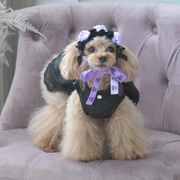 ♡　犬服　シンデレラ風ロングドレス➕エプロン　ハンドメイド ♡ 犬服 シンデレラ風ロングドレス➕エプロン ハンドメイド