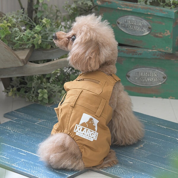 ドッグウェア,TW_2025AW | NONKOROオンラインストア