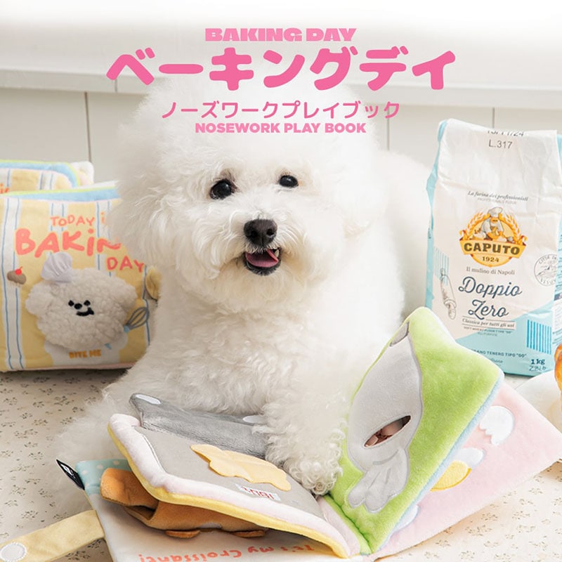 新商品 | NONKOROオンラインストア