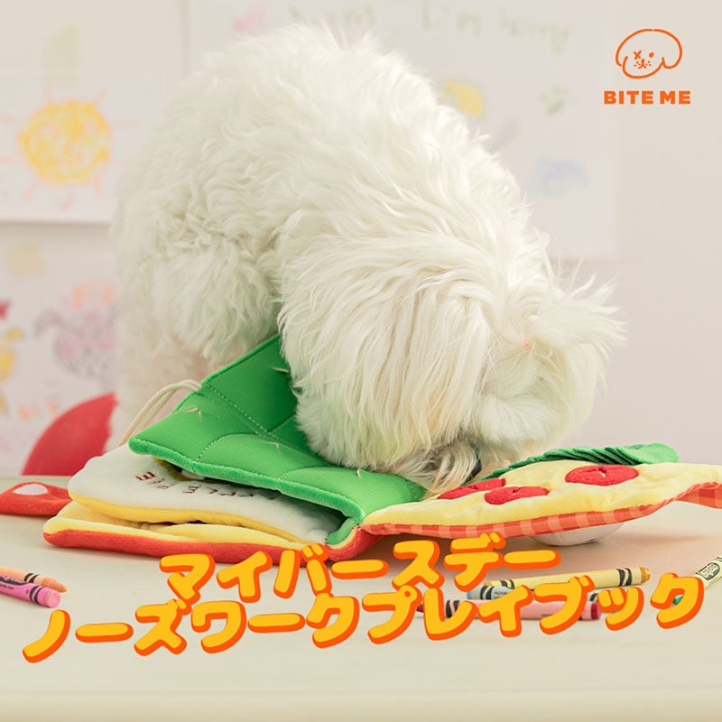 新商品 | NONKOROオンラインストア 新商品 | NONKOROオンラインストア