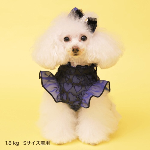 GODPIVA ハートフリルワンピース 2025 秋 冬 【ゴッドピバ】 | ドッグ