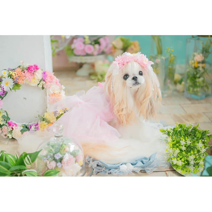 CanNana チュールフリルキャミワンピース 1153 【きゃんナナ