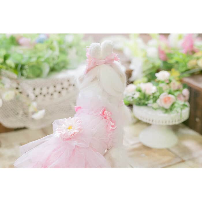 きゃんナナ チュールフリルキャミワンピース ピンク Mサイズ CanNana チュールフリルキャミワンピース 1153 【きゃんナナ