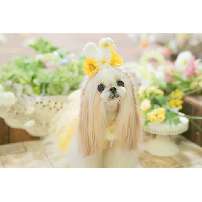 CanNana チュールフリルキャミワンピース 1153 【きゃんナナ