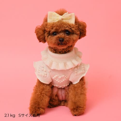 GODPIVA 2025AW ローゲージニットワンピース 2025 秋 冬 【ゴッドピバ