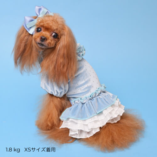 ゴッドピバ新作ワンピースドットプリマワンピースSMサイズピンク ゴッドピバ新作ワンピースドットプリマワンピースSMサイズピンク