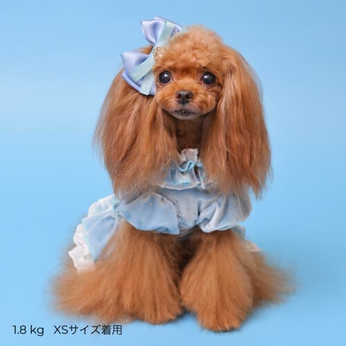 GODPIVA ドットプリマワンピース 2025 秋 冬 【ゴッドピバ】 ※お