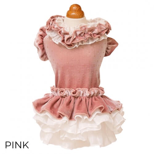 GODPIVA ドットプリマワンピース 2025 秋 冬 【ゴッドピバ】 ※お