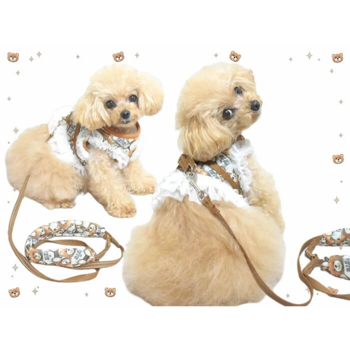ご予約受付中！】 サーカスサーカス Toy Bear Dressed Harness SET