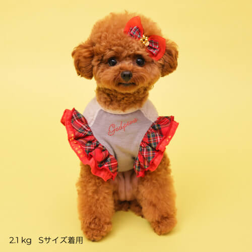 GODPIVA あったかテラボアチェックタンク 2025 秋 冬 【ゴッドピバ