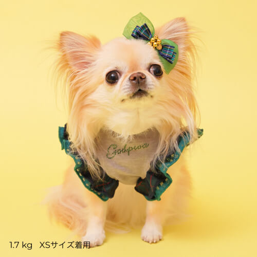 GODPIVA あったかテラボアチェックタンク 2025 秋 冬 【ゴッドピバ