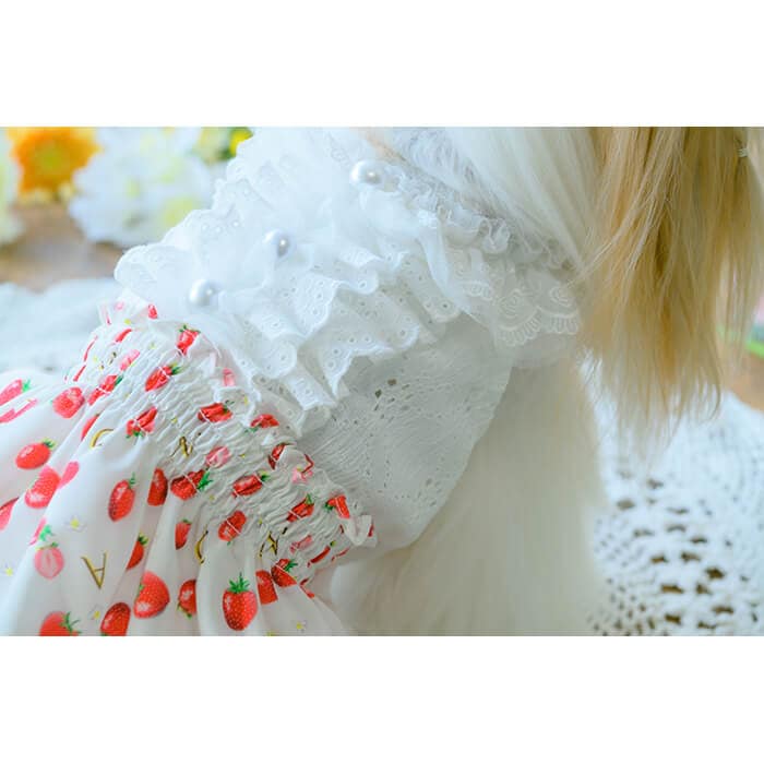 きゃんナナ　いちご柄シフォンドッキングワンピース　ホワイト CanNana 犬 犬服 春 ドックウェア いちご柄シフォンドッキング