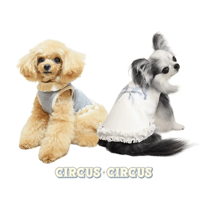 SALE 50％OFF ※サーカスサーカス FRILLED BOW アイボリー CCW-0278 秋