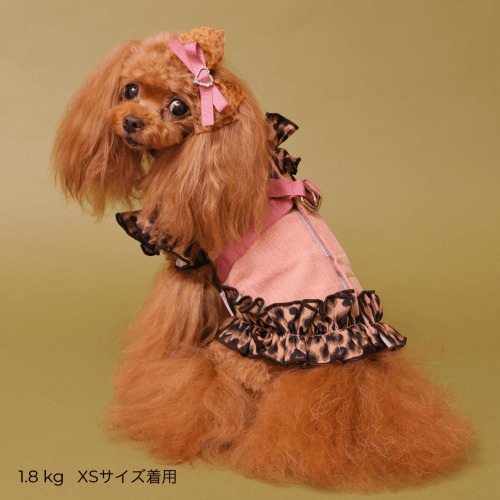 GODPIVA テラヘルツレオパードハーネス 2025 秋 冬 【ゴッドピバ