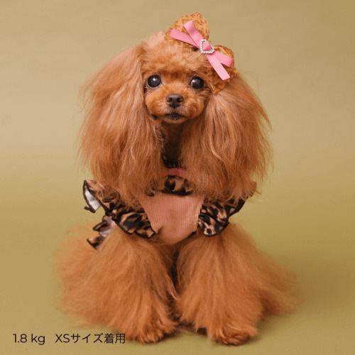 GODPIVA テラヘルツレオパードハーネス 2025 秋 冬 【ゴッドピバ