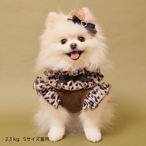 GODPIVA テラヘルツレオパードハーネス 2025 秋 冬 【ゴッドピバ