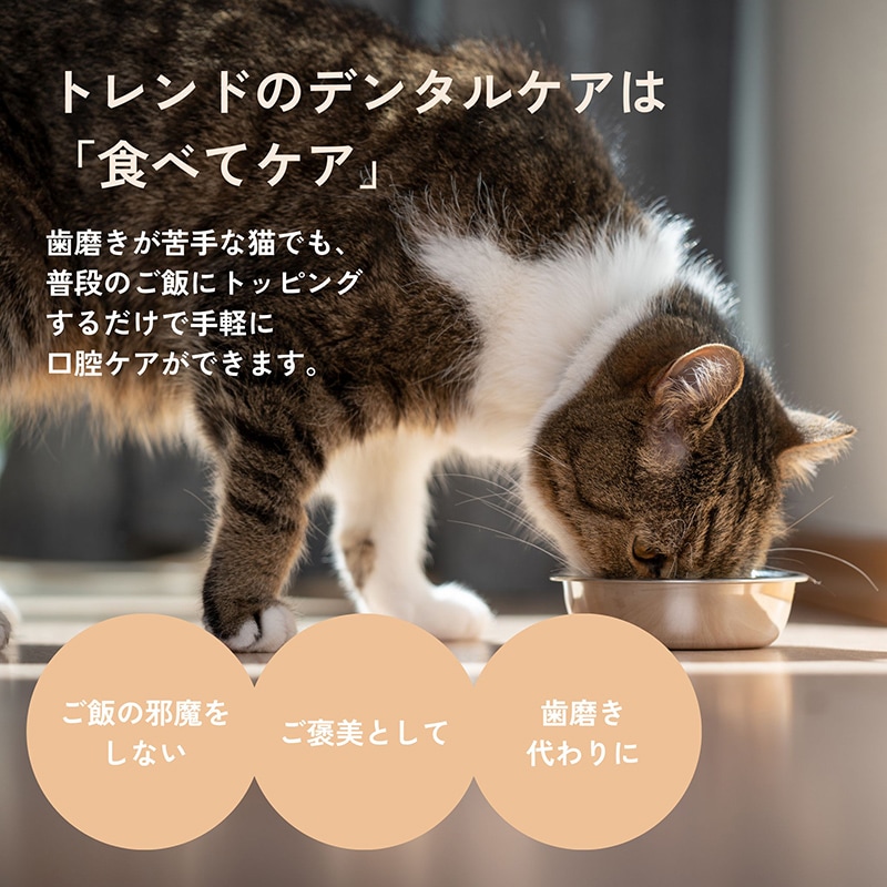 QCHEFS Dental Charcoal for cats】キューシェフス 猫用デンタル