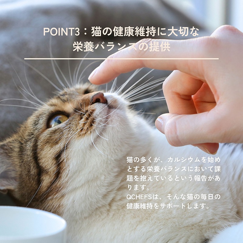 QCHEFS Dental Charcoal for cats】キューシェフス 猫用デンタル