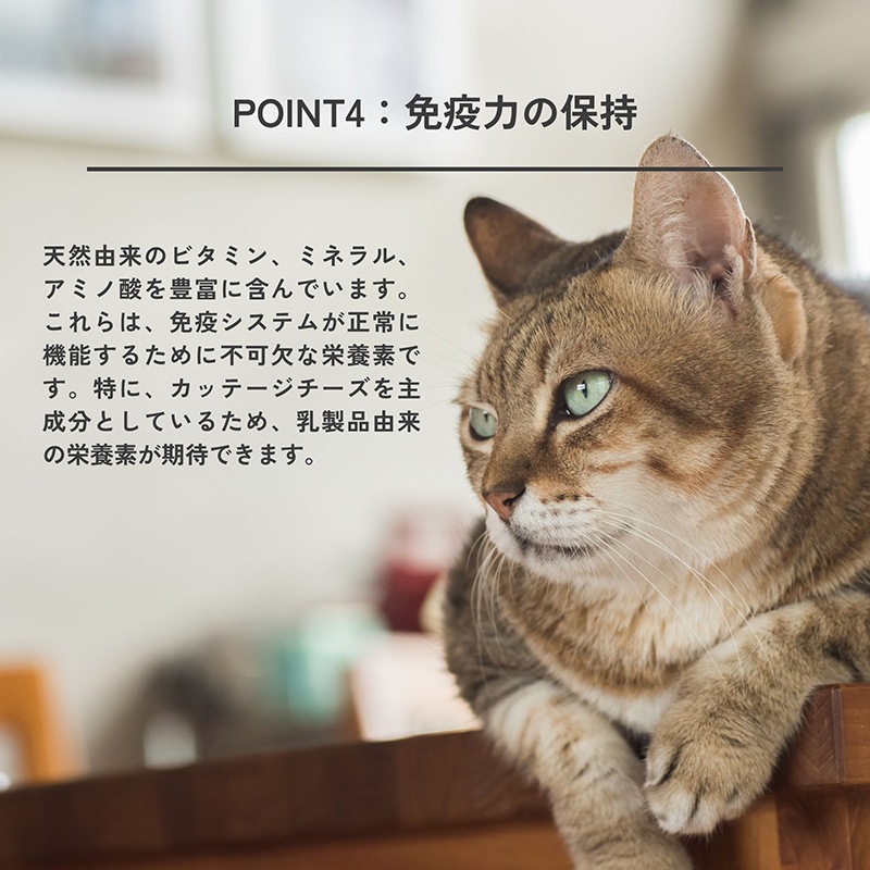 QCHEFS Dental Charcoal for cats】キューシェフス 猫用デンタル
