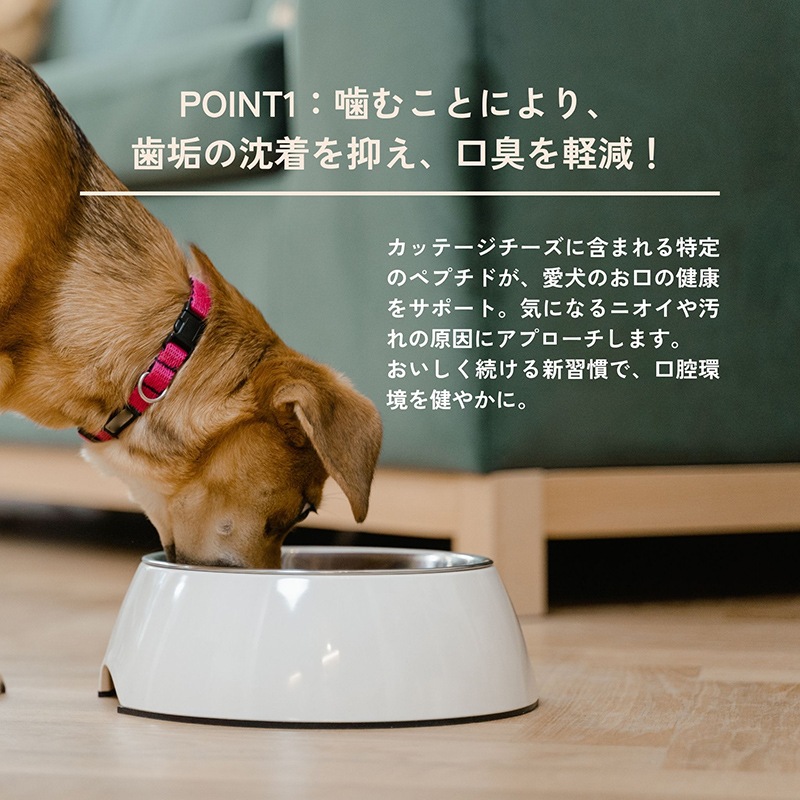 QCHEFS Haed Cracker】キューシェフス ハードクラッカー 犬用デンタル