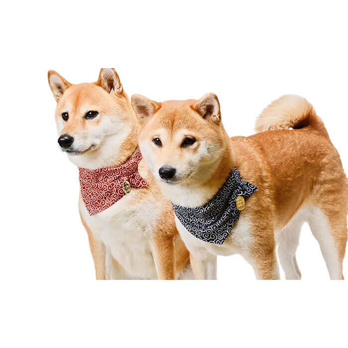 アモワークス 唐草小判 バンダナ 首輪 S / M / L 全3色 犬 カラー