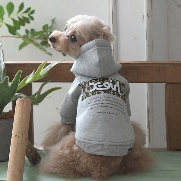 X-girl レオパード柄ロゴフーディー 2025 秋 冬 PXG1044 TW 【エックス