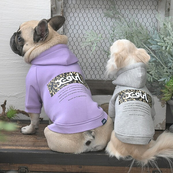 X-girl レオパード柄ロゴフーディー 2025 秋 冬 PXG1044 TW 【エックス