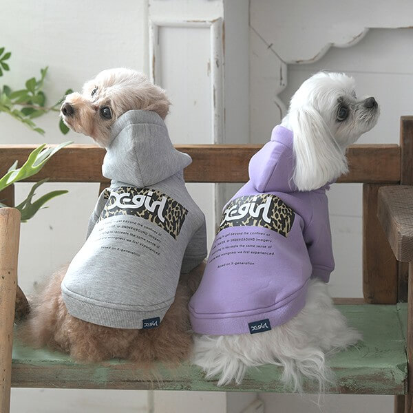 X-girl レオパード柄ロゴフーディー 2025 秋 冬 PXG1044 TW 【エックス