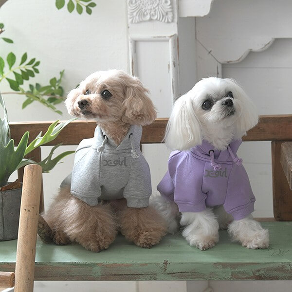 X-girl レオパード柄ロゴフーディー 2025 秋 冬 PXG1044 TW 【エックス