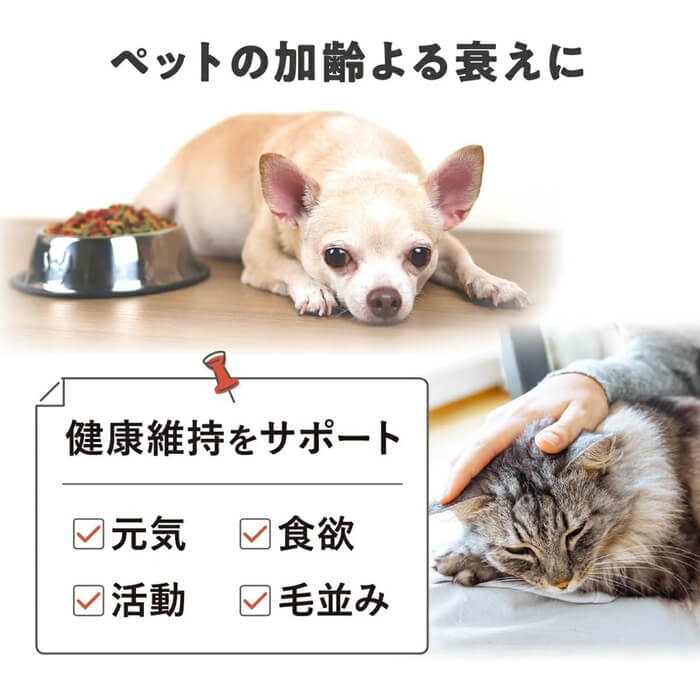 2点おまとめ　新品未使用　プラセンタサプリメント　EQパウダー　馬プラセンタ Amazon.co.jp: JBP プラセンタ サプリ EQパウダー 30粒 犬・猫用