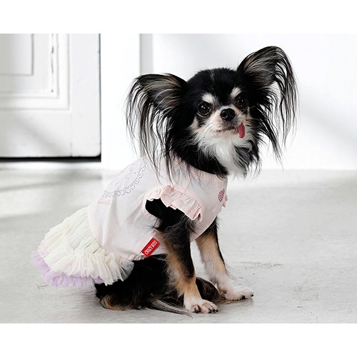 ハイブランドまとめ　犬の刺繍付きワンピース 90cm クレイジーブー ぺア刺繍ワンピ 2026 春 夏 全5サイズ【CRAZYBOO
