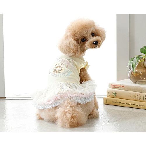 クレイジーブー ぺア刺繍ワンピ 2026 春 夏 全5サイズ【CRAZYBOO クレイジーブー ぺア刺繍ワンピ 2026 春 夏 全5サイズ【CRAZYBOO