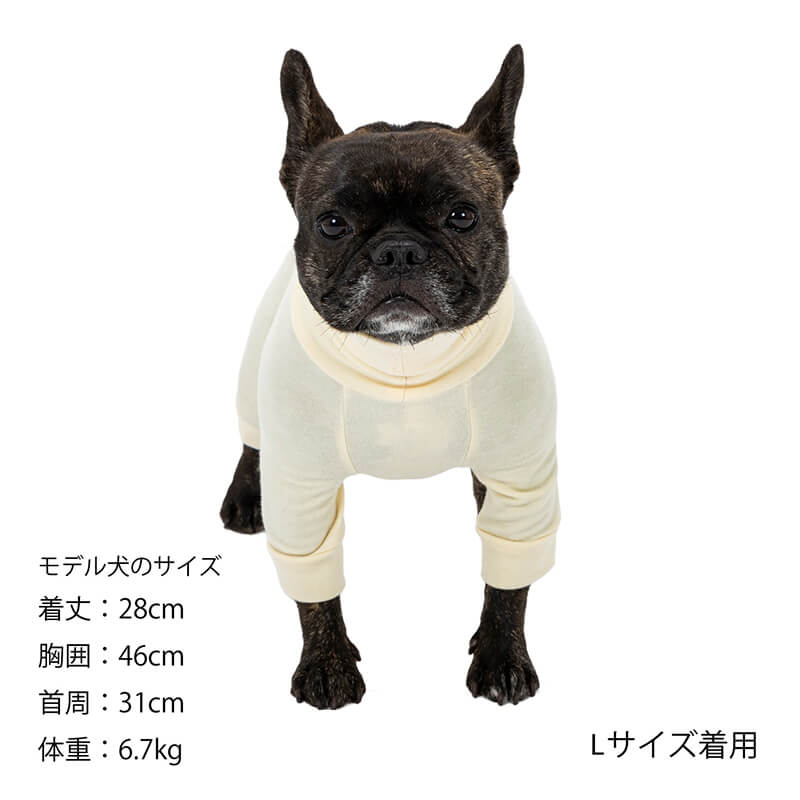 犬マン 楽天市場】ドギーマン ペットの牛乳 成犬用 1L×10本 犬