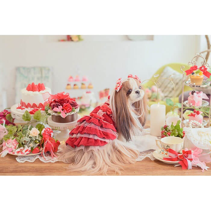 きゃんナナ　冬いちごデコレーションワンピース　L CanNana 冬いちごデコレーションワンピース 1169 【きゃんナナ