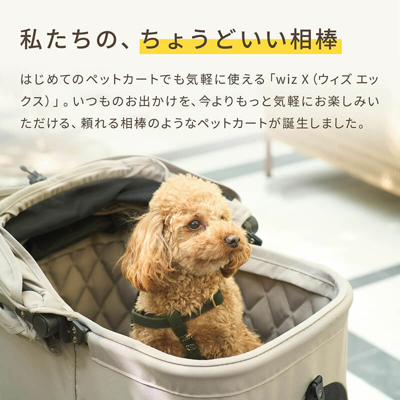 AIRBUGGY WIZ X (エアバギーウィズエックス)『SAND BEIGE サンド