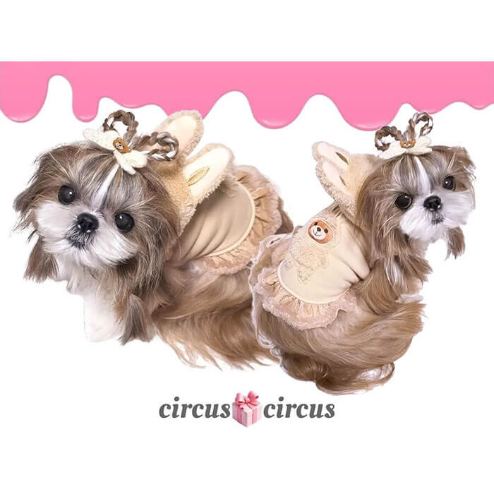 ご予約受付中！※ サーカスサーカス Love Bear Mascot Hoodie OP CCW