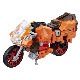 TF 2018 POTP ���� [DX] �ڎ������ގ�