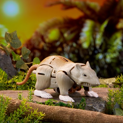 TF 2021 BW �ˎގݎÎ����� �׎��ĎĎ׎��̎�